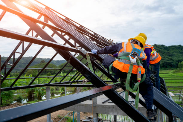 Best Flat Roof Repair Services  in Newport, MN