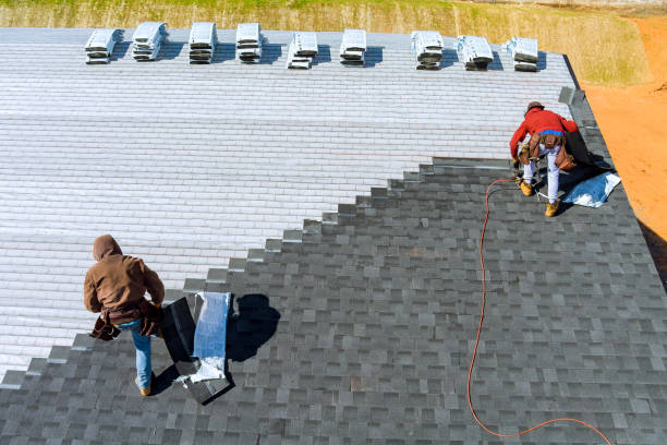 Professional Roofing Contractor in Newport, MN