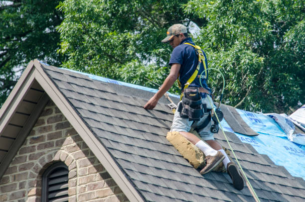 Best Roof Waterproofing Services  in Newport, MN